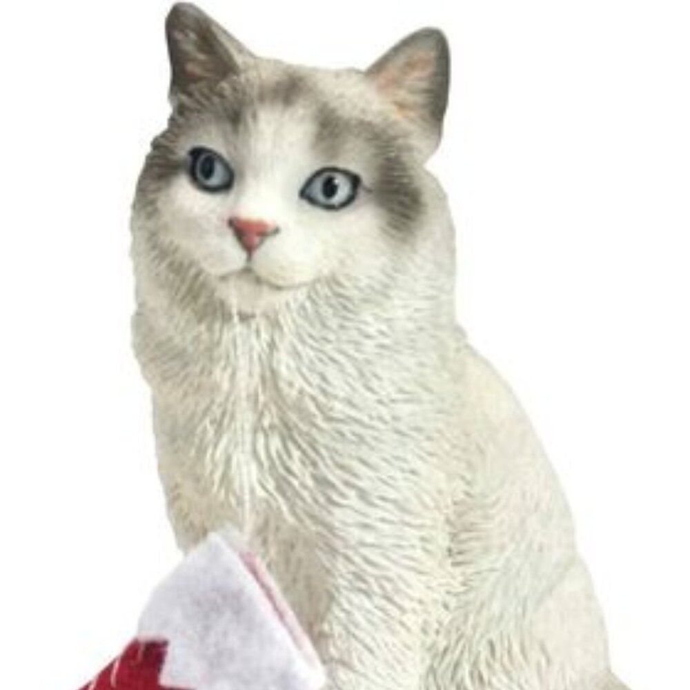 Brand New Sandicast Bicolor Ragdoll Cat with Stocking Christmas Ornament.